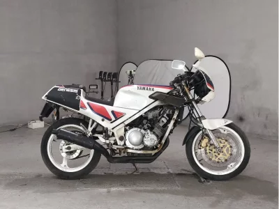 Yamaha FZR250