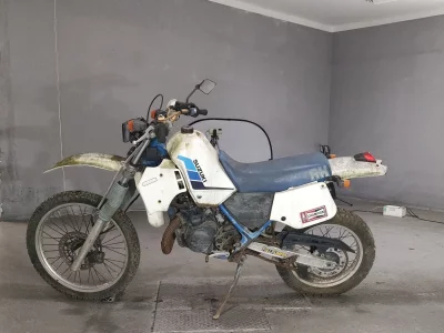 Suzuki RH250