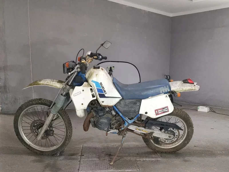 Suzuki RH250