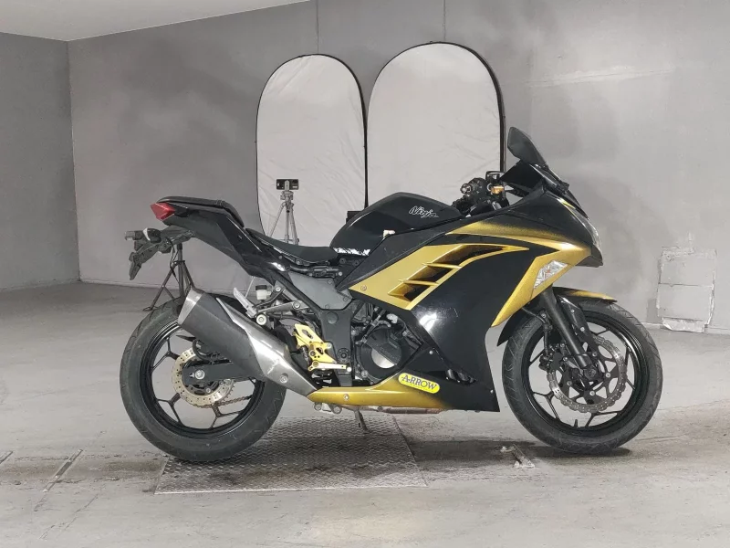 Kawasaki NINJA250