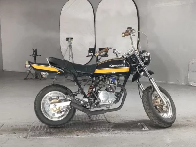 Honda APE100