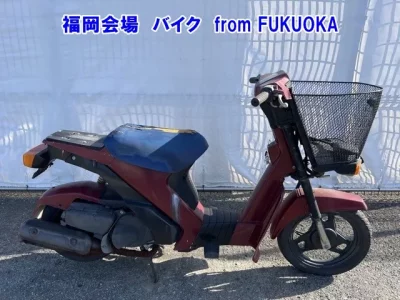 Suzuki MOLLET