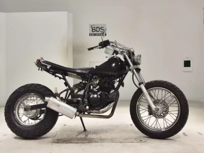 Yamaha TW225-E