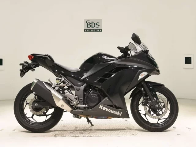 Kawasaki NINJA250 лот № 7968 оценка 5  с аукциона в Японии