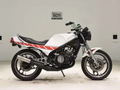 Yamaha RZ250R