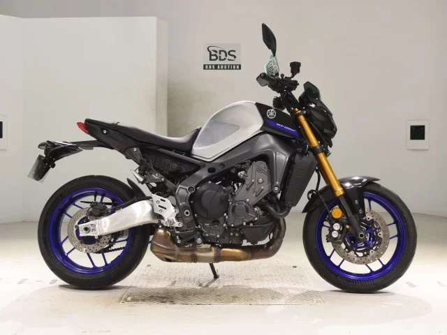 Yamaha MT-09-2SP лот № 5180 оценка 5  с аукциона в Японии