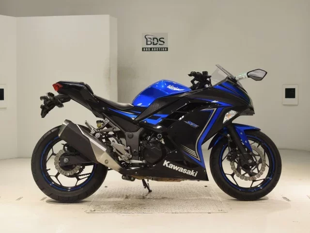 Kawasaki NINJA250 лот № 0160 оценка 4  с аукциона в Японии