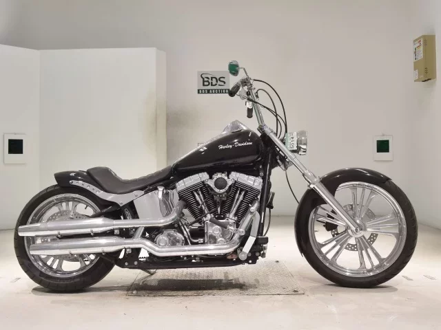 Harley-Davidson HARLEY FXSTD1580