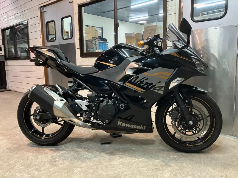 Kawasaki Ninja 250