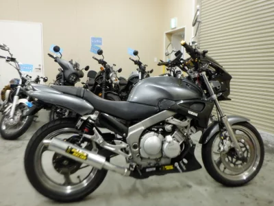 Yamaha ZEAL