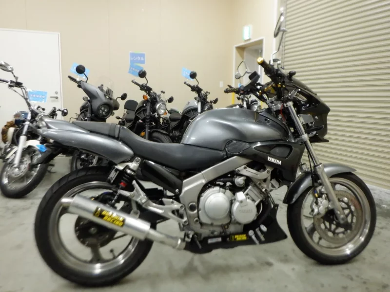Yamaha ZEAL