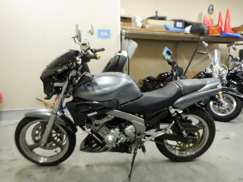 Yamaha ZEAL