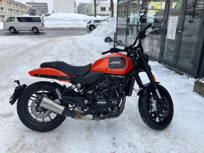 Harley-Davidson HARLEY X500  с аукциона в Японии