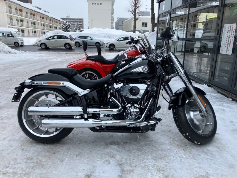 Harley-Davidson HARLEY FLFB лот № 02033 оценка 8  с аукциона в Японии