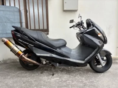 Suzuki SKY WAVE 250TYPES