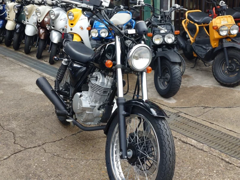 Suzuki GLASS TRACKER BIG BOY