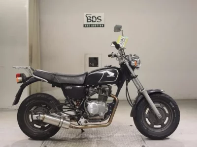 Honda APE100