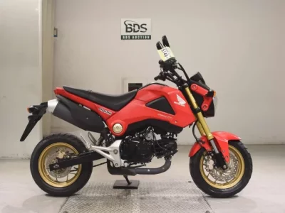 Honda GU ROM
