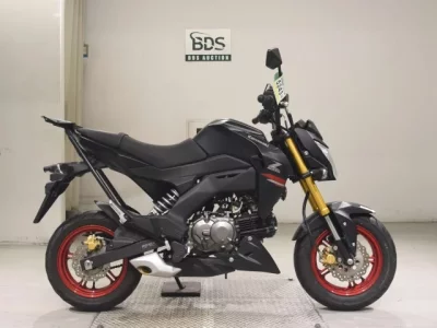 Kawasaki Z125PRO