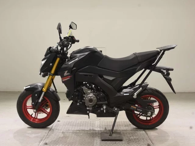 Kawasaki Z125PRO
