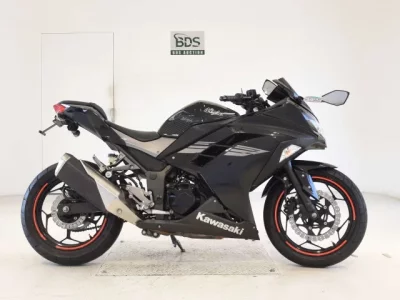 Kawasaki NINJA250