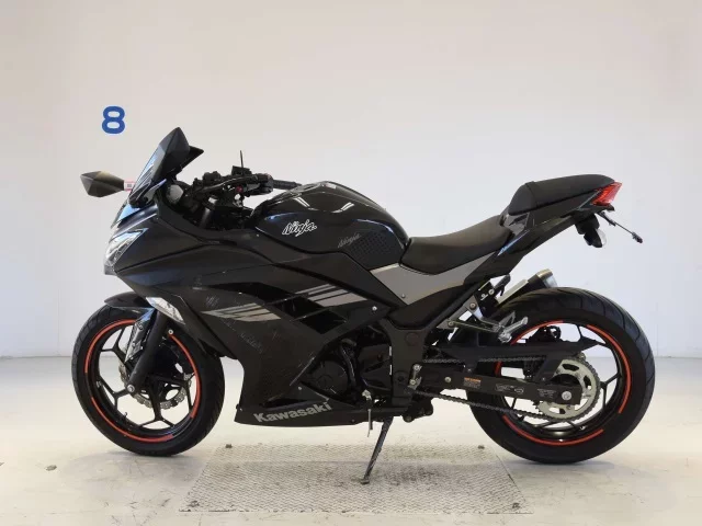 Kawasaki NINJA250