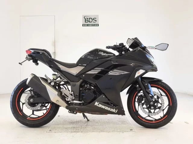 Kawasaki NINJA250