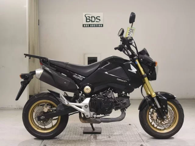 Honda GU ROM