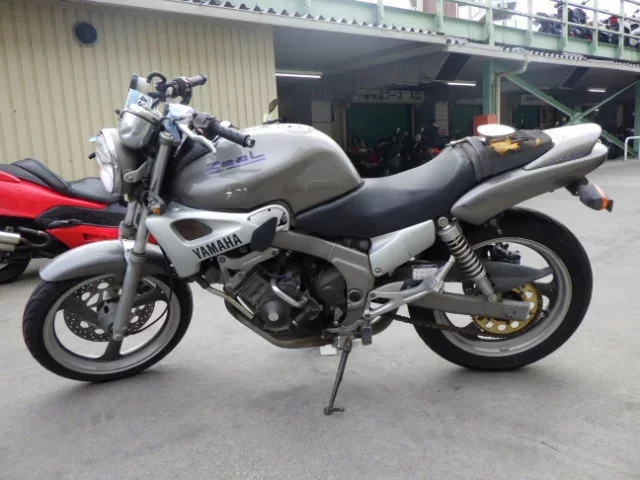 Yamaha ZEAL