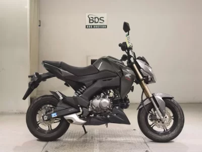 Kawasaki Z125PRO