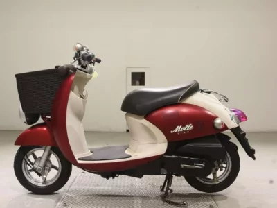Yamaha VINOMORUFE-2