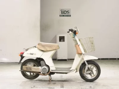 Honda MANY CTOR
