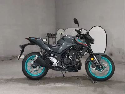 Yamaha MT-25