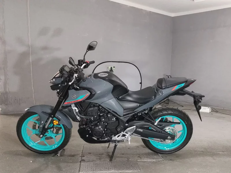 Yamaha MT-25