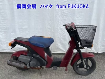 Suzuki MOLLET