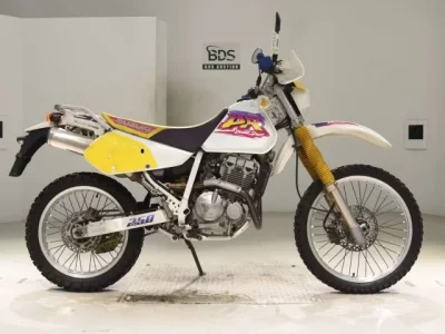 Suzuki DR250R
