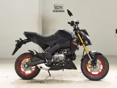 Kawasaki Z125PRO