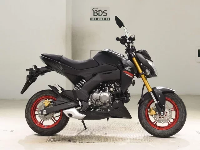 Kawasaki Z125PRO