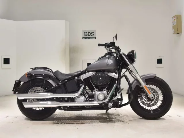 Harley-Davidson HARLEY FLS1580 лот № 2674 оценка 4  с аукциона в Японии
