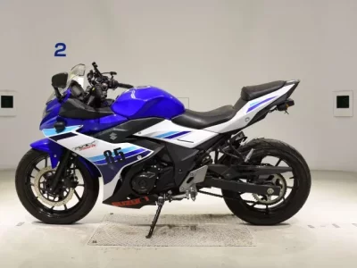 Suzuki GSX250R  с аукциона в Японии