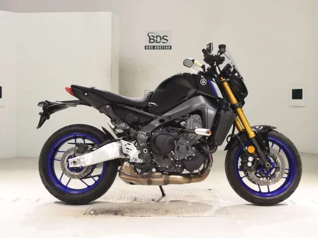 Yamaha MT-09-2SP лот № 5011 оценка 5  с аукциона в Японии