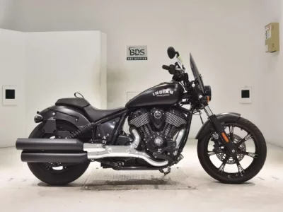 Other INDIAN CHI-FU DARK HOSE  с аукциона в Японии