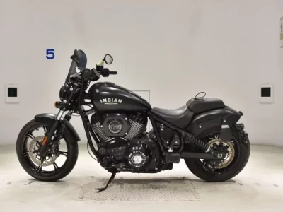 Other INDIAN CHI-FU DARK HOSE  с аукциона в Японии