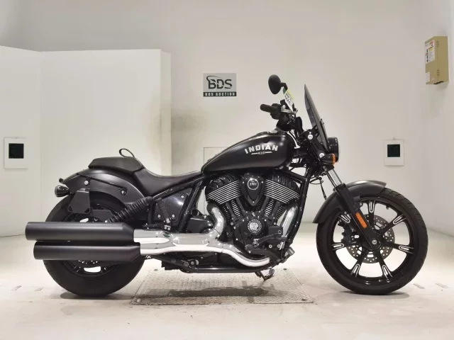 Other INDIAN CHI-FU DARK HOSE лот № 2662 оценка 5  с аукциона в Японии