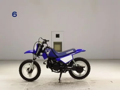 Yamaha PW50