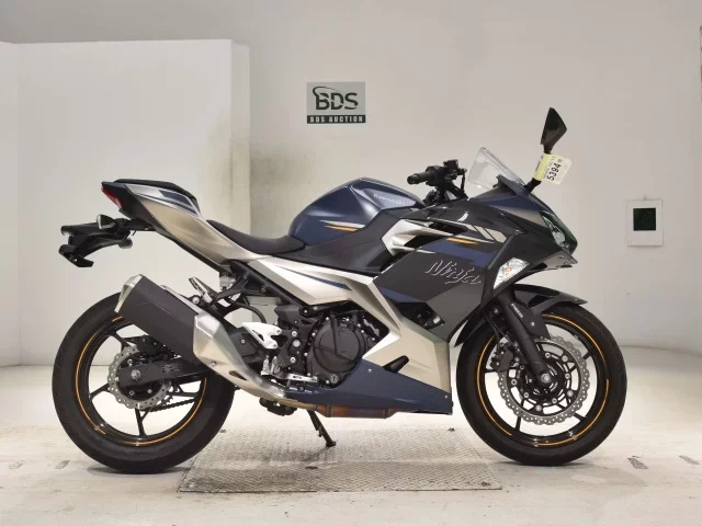Kawasaki NINJA250-2 лот № 5394 оценка 5  с аукциона в Японии
