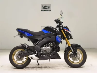 Kawasaki Z125PRO