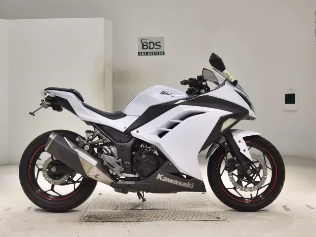 Kawasaki NINJA250 лот № 2688 оценка 4  с аукциона в Японии