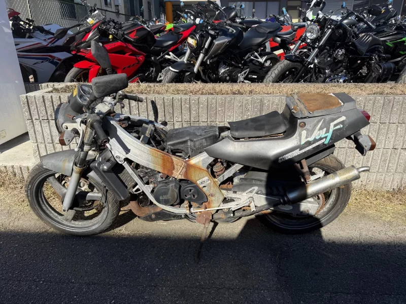 Suzuki WOLF250
