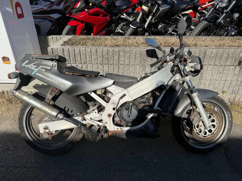 Suzuki WOLF250